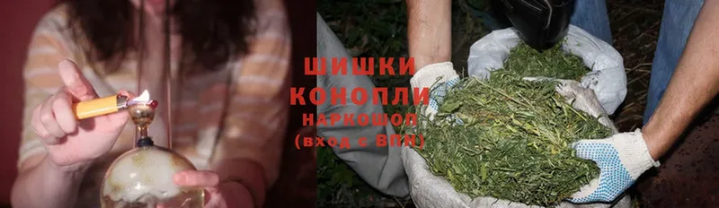 Конопля SATIVA & INDICA  Бокситогорск 